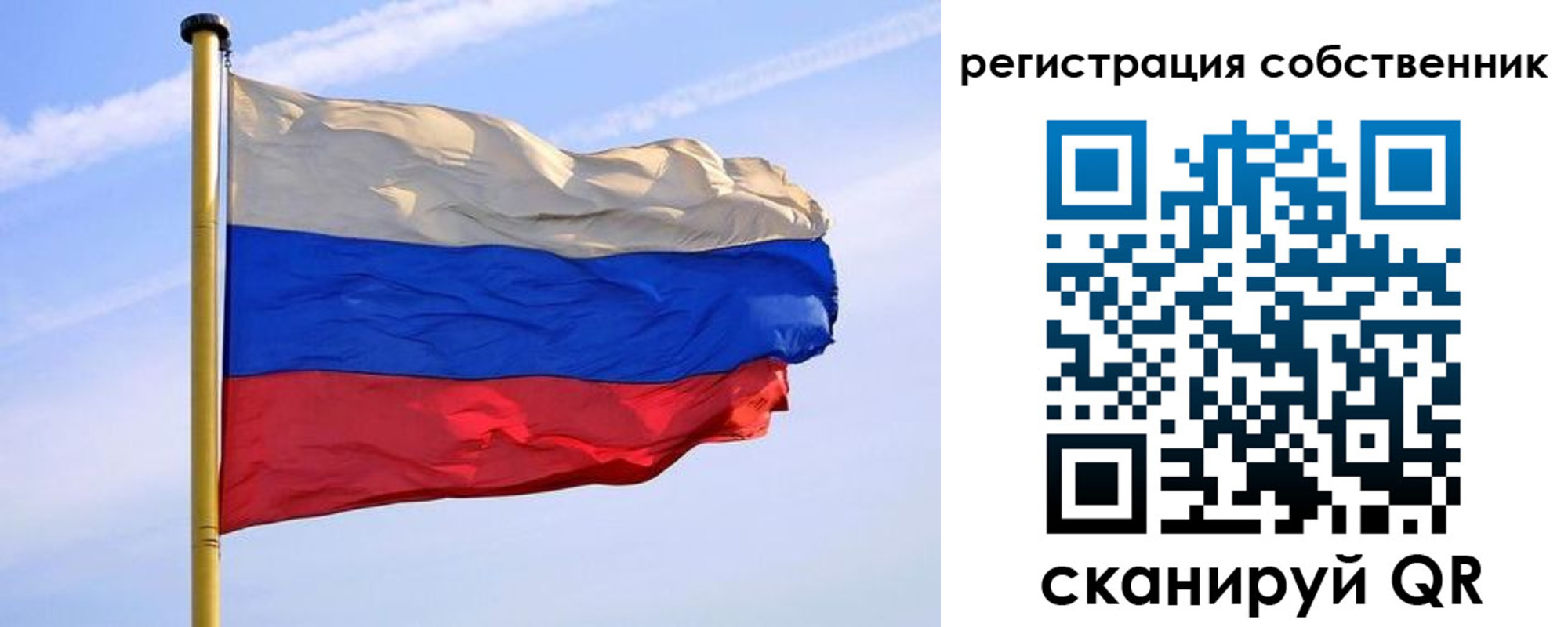 прописка для школы в Луге